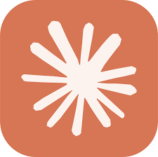 Claude Opus 4.1 Coder